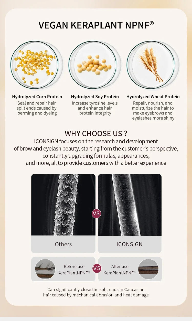 Lash & Augenbrauen Fixiercreme 10ml